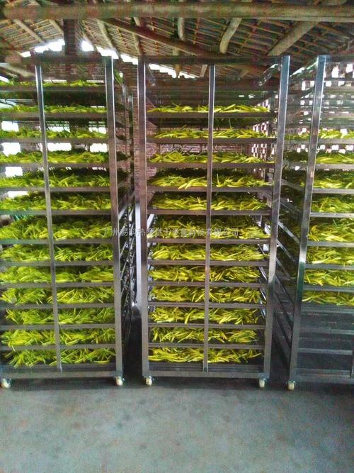 黃花菜烘干機(jī)、黃花菜烘干設(shè)備、黃花菜干燥機(jī)、黃花菜干燥設(shè)備、